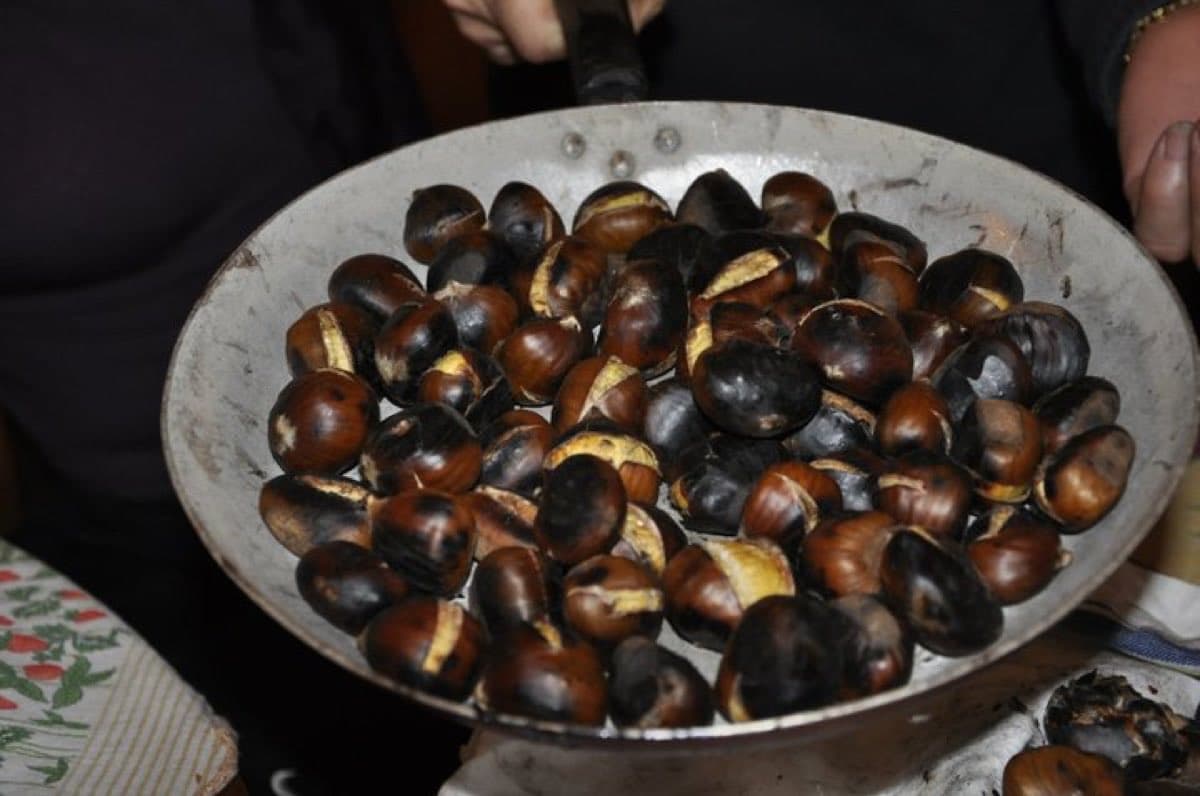 Castagne dei Colli (immagine d'archivio)
